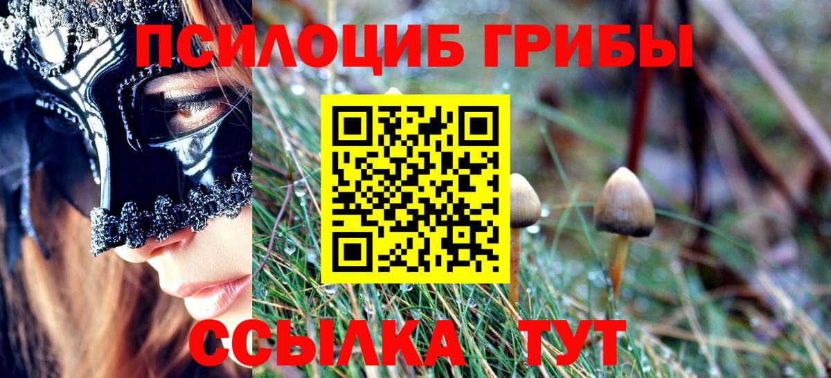 хочу наркоту  Вход с VPN  Бутурлиновка  Галлюциногенные грибы мицелий 